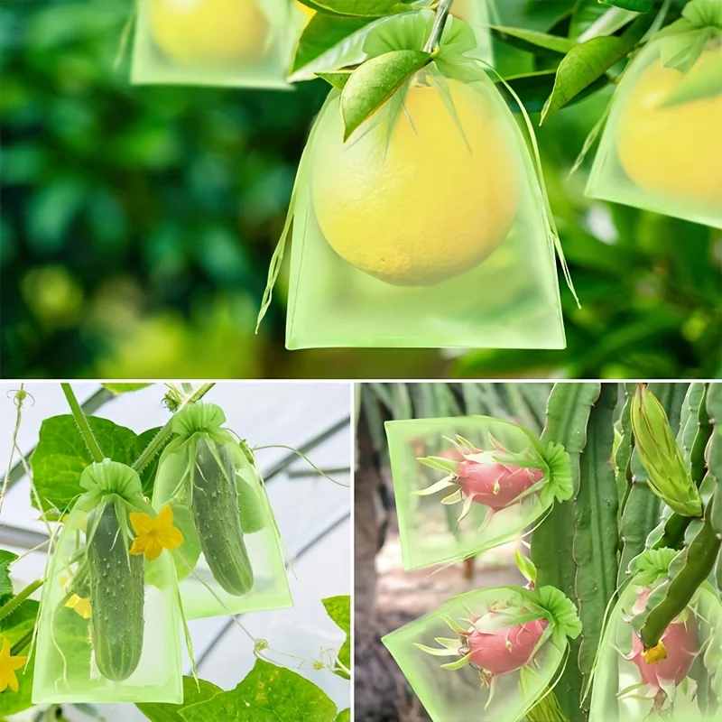 100 Buah Tas Pelindung Hijau d - Smart Home Green ulasan dan harga