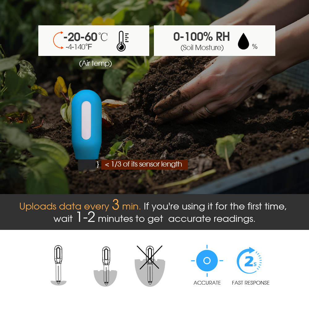 Sensor Tanah Zigbee Pintar unt - Smart Home Monitoring ulasan dan harga