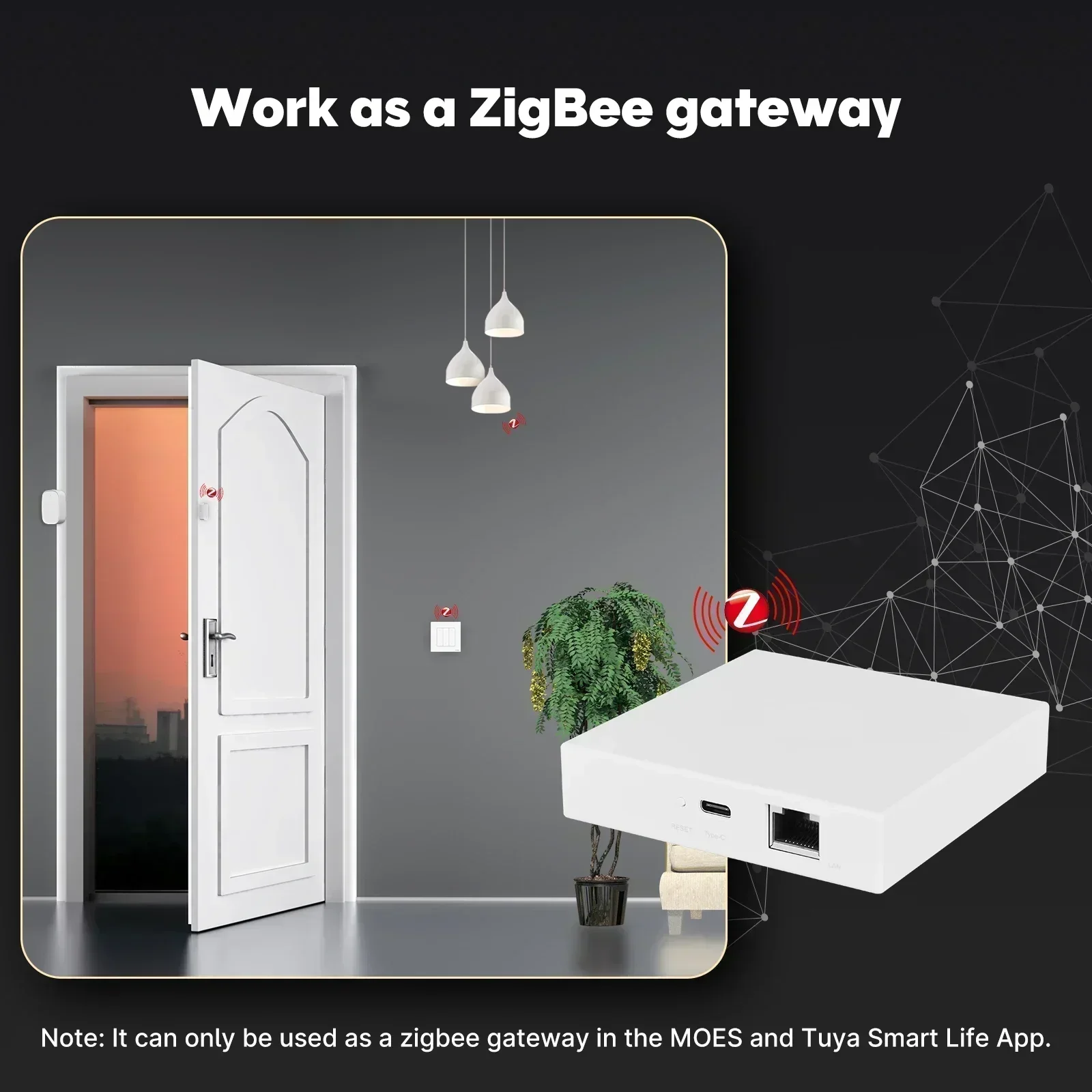 MOES Tuya Zigbee Matter Thread - Smart Home Apple ulasan dan harga