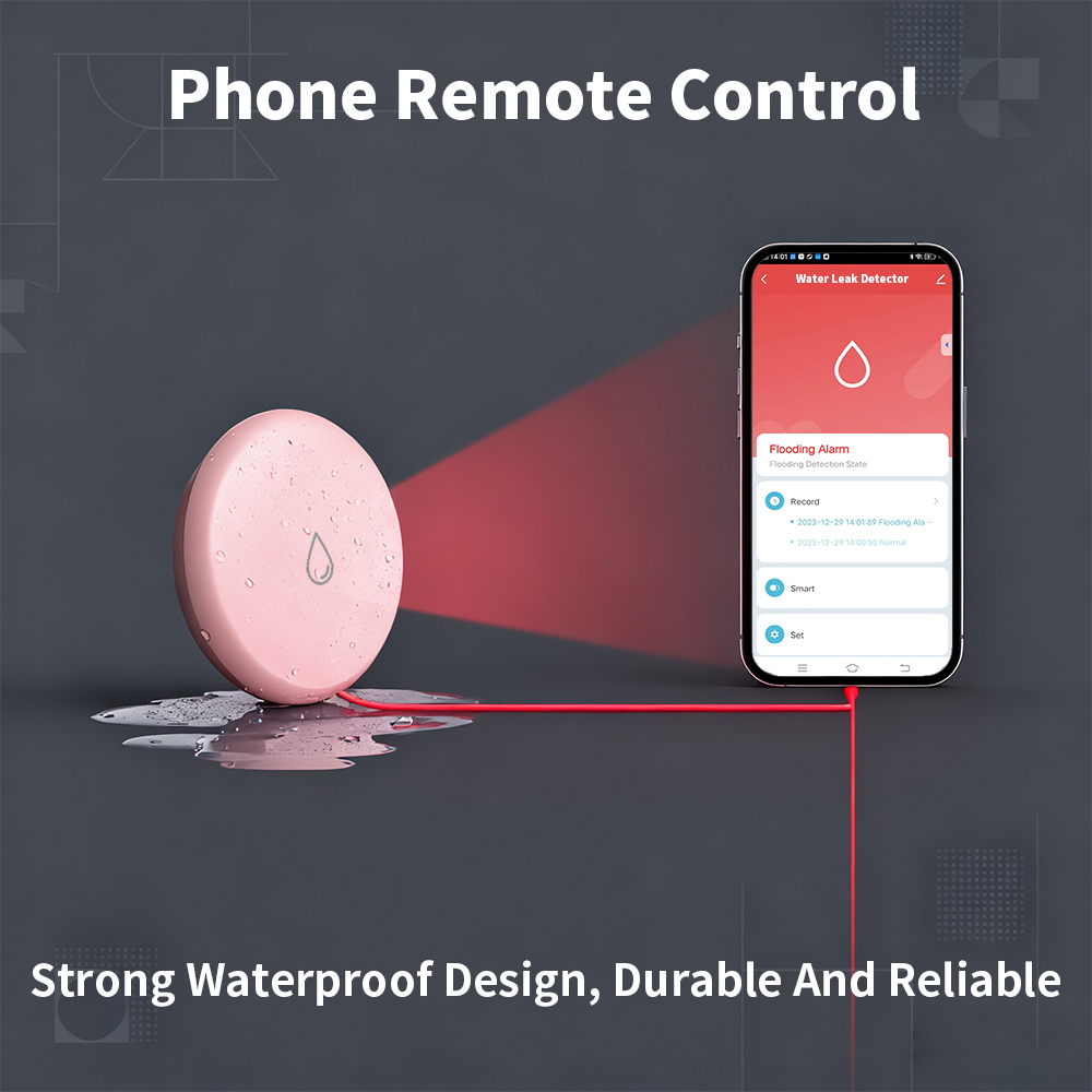 Sensor Kebocoran Zigbee Detekt - Smart Home Green ulasan dan harga