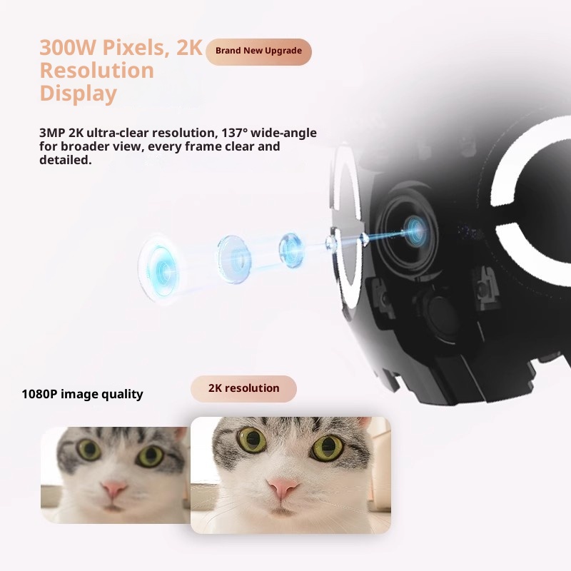 Enabot ROLA Mini Robot Pintar  - Smart Home Monitoring ulasan dan harga