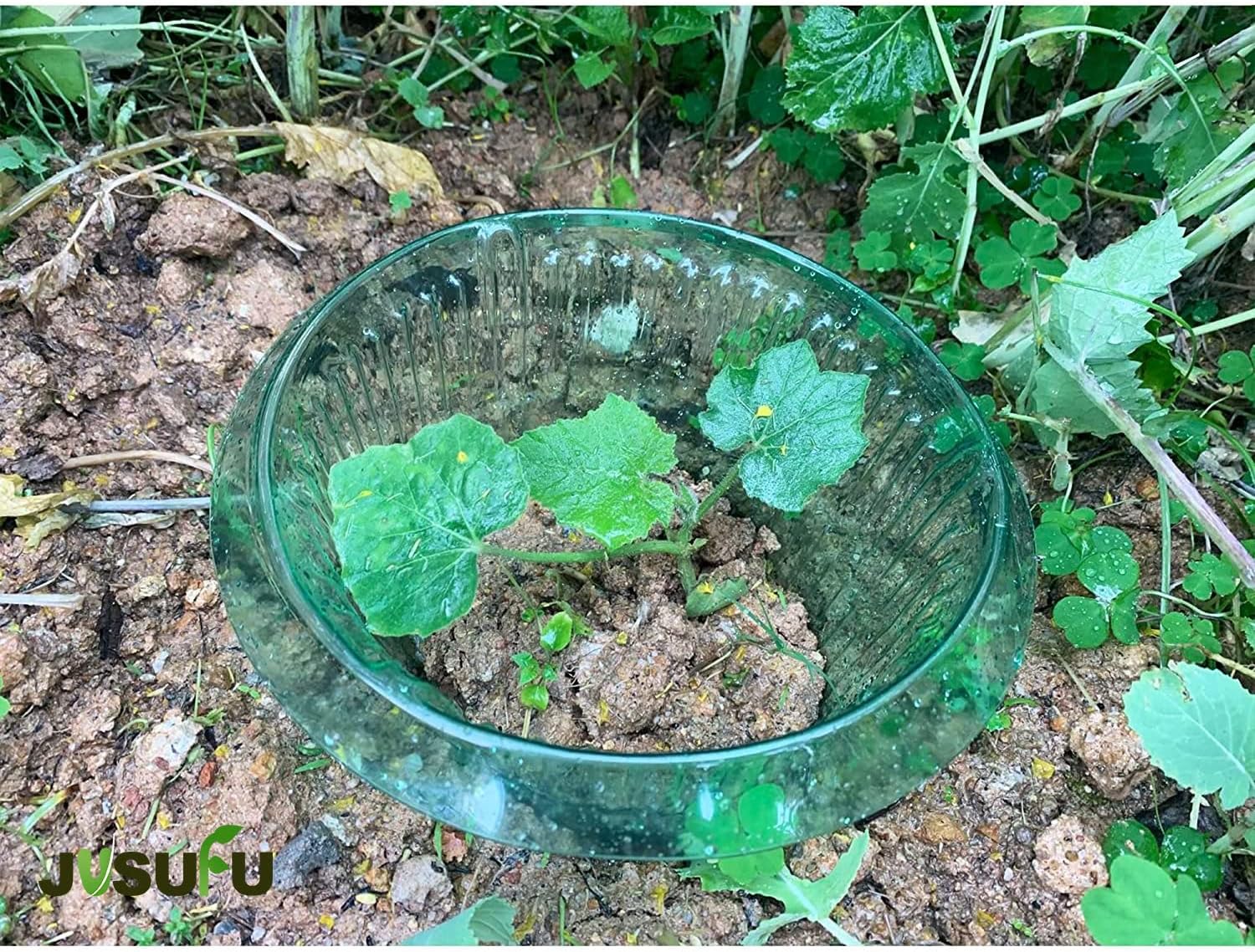 1/30 Buah Cincin Pelindung Sip - Smart Home Green ulasan dan harga