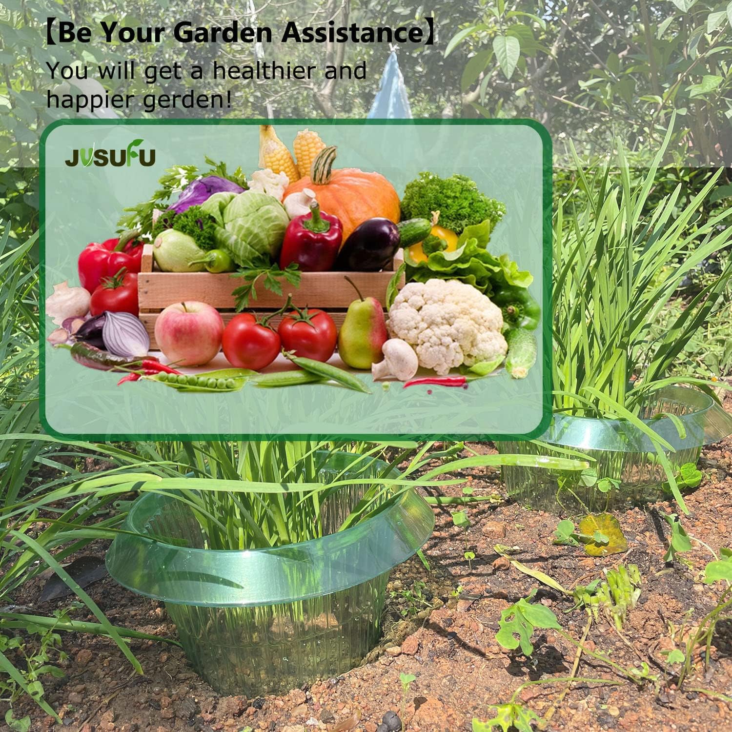 1/30 Buah Cincin Pelindung Sip - Smart Home Green ulasan dan harga