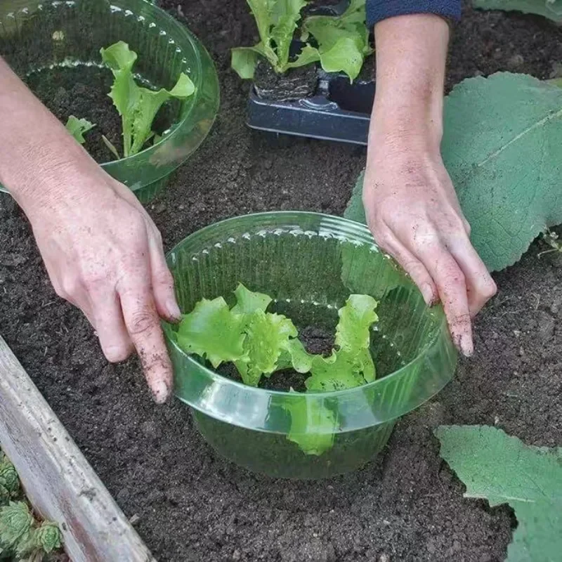 Cincin Pelindung Siput Tanaman - Smart Home Green ulasan dan harga